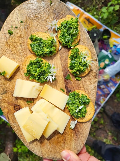 Daslook pesto maken op wildplukwandeling Utrecht