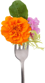 Eetbare bloemen zijn een leuke decoratie op je wildpluk maaltijd